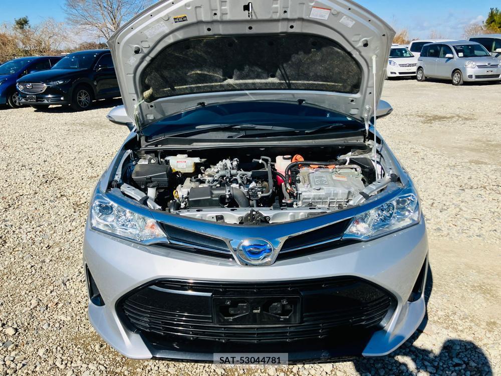 Toyota COROLLA FIELDER 2019 716332-42