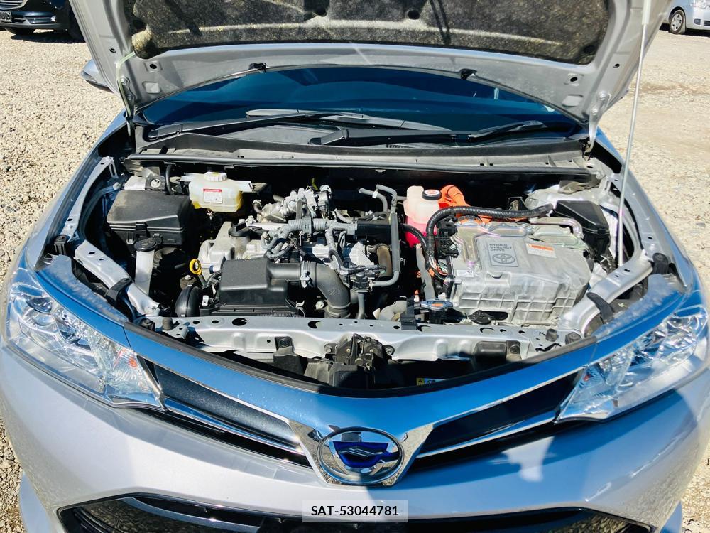 Toyota COROLLA FIELDER 2019 716332-43