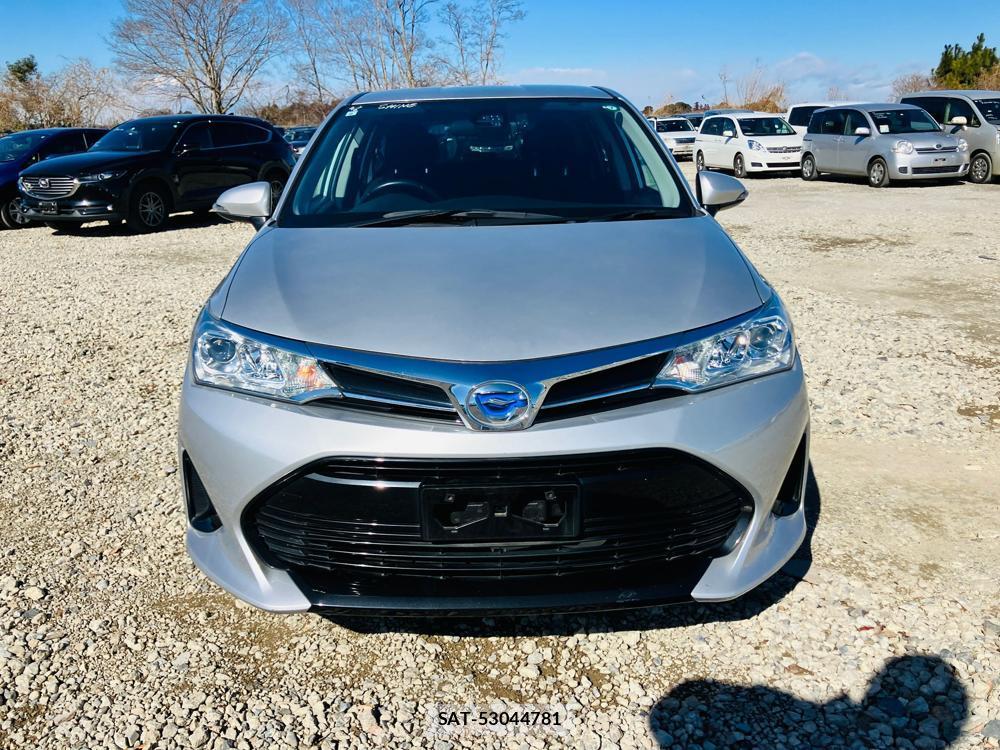 Toyota COROLLA FIELDER 2019 716332-7