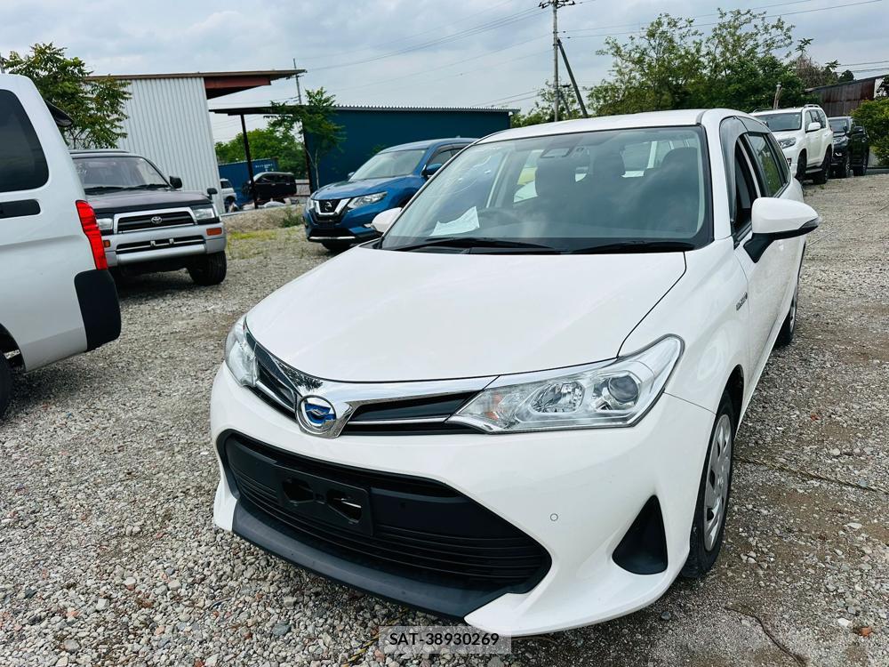 Toyota COROLLA FIELDER 2019 6491371-0