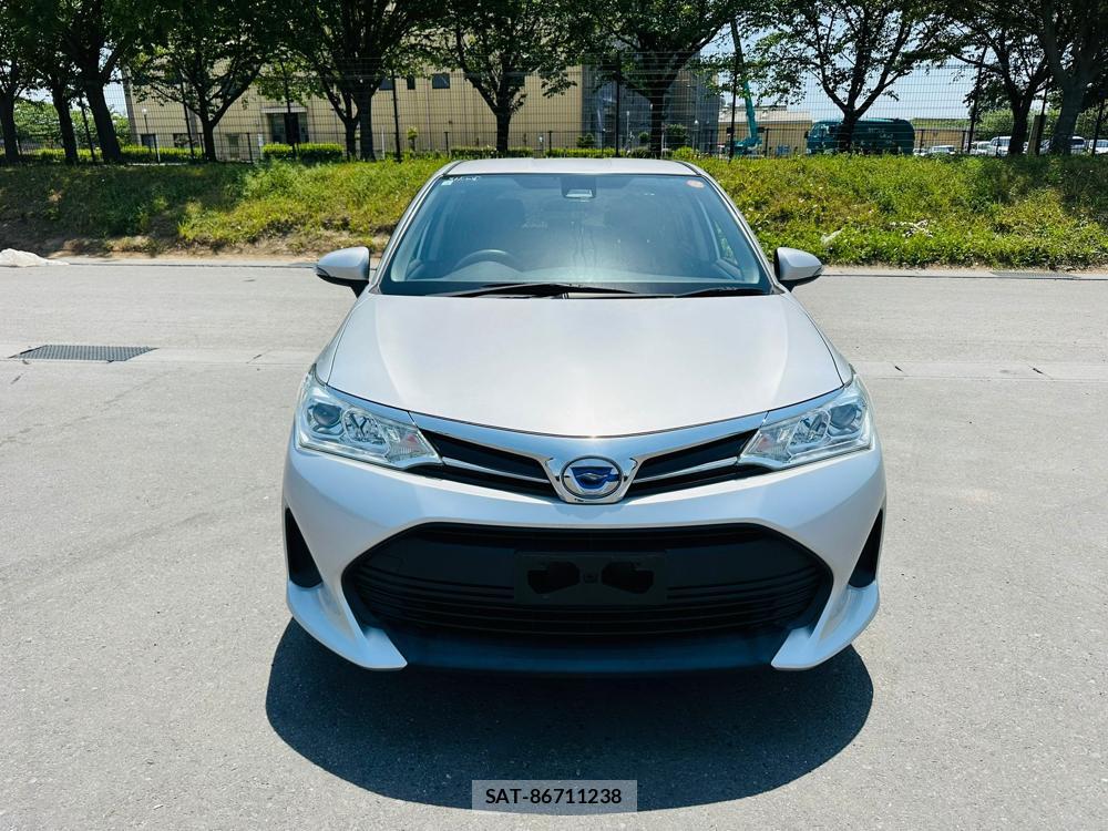 Toyota COROLLA FIELDER 2019 6646571-7