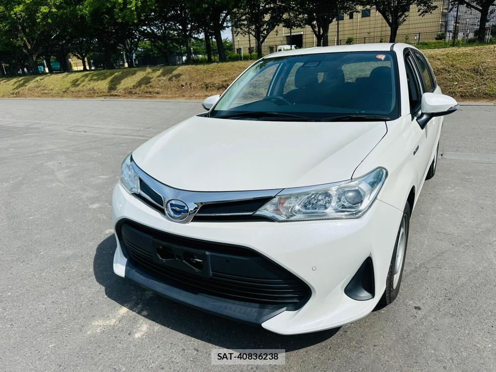 Toyota COROLLA FIELDER 2019 6935486-0