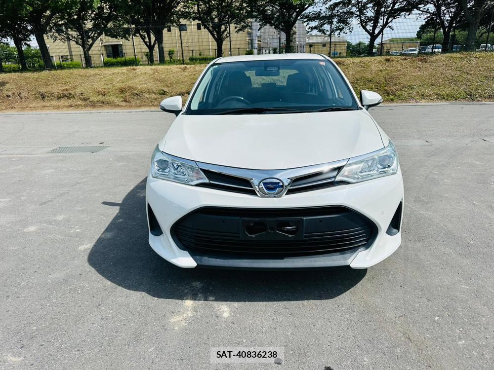 Toyota COROLLA FIELDER 2019 6935486-7