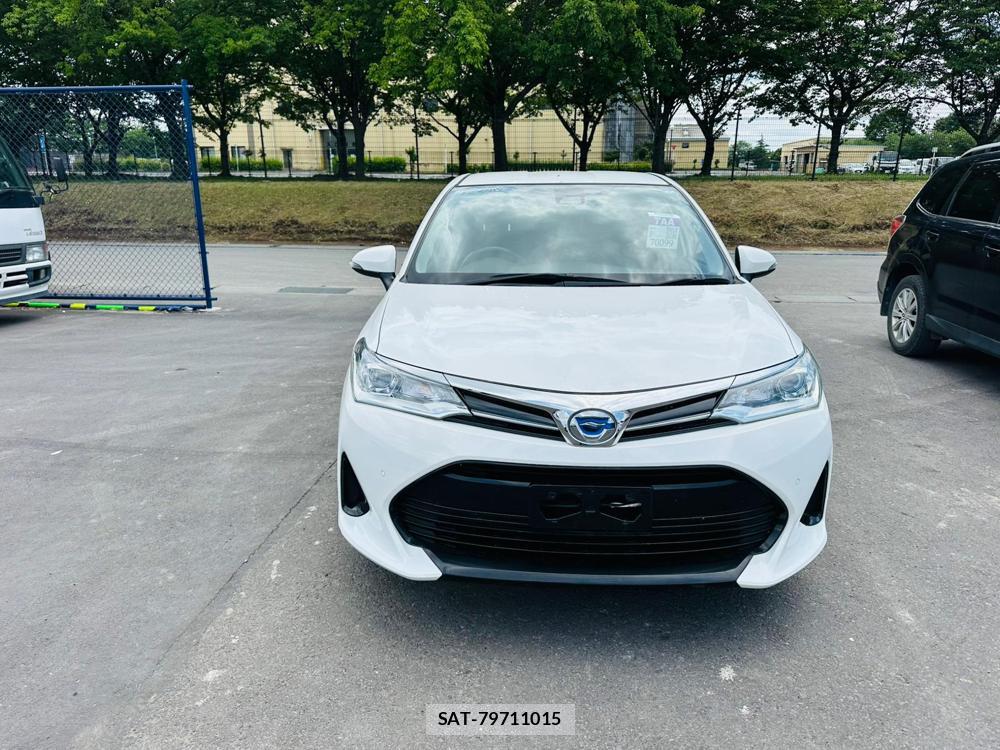 Toyota COROLLA FIELDER 2019 6804479-7