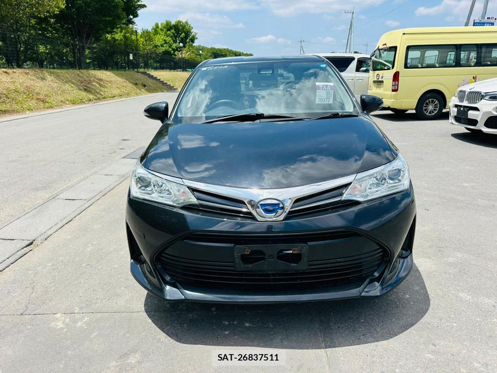 Toyota COROLLA FIELDER 2019 6804480-7