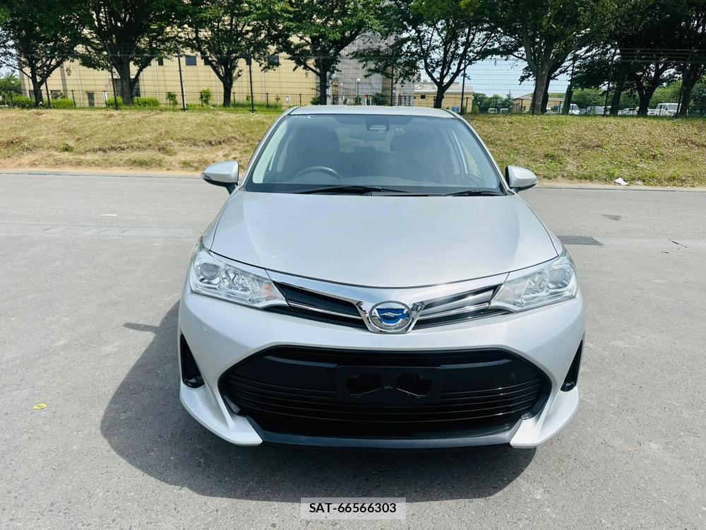 Toyota COROLLA FIELDER 2019 7171821-7