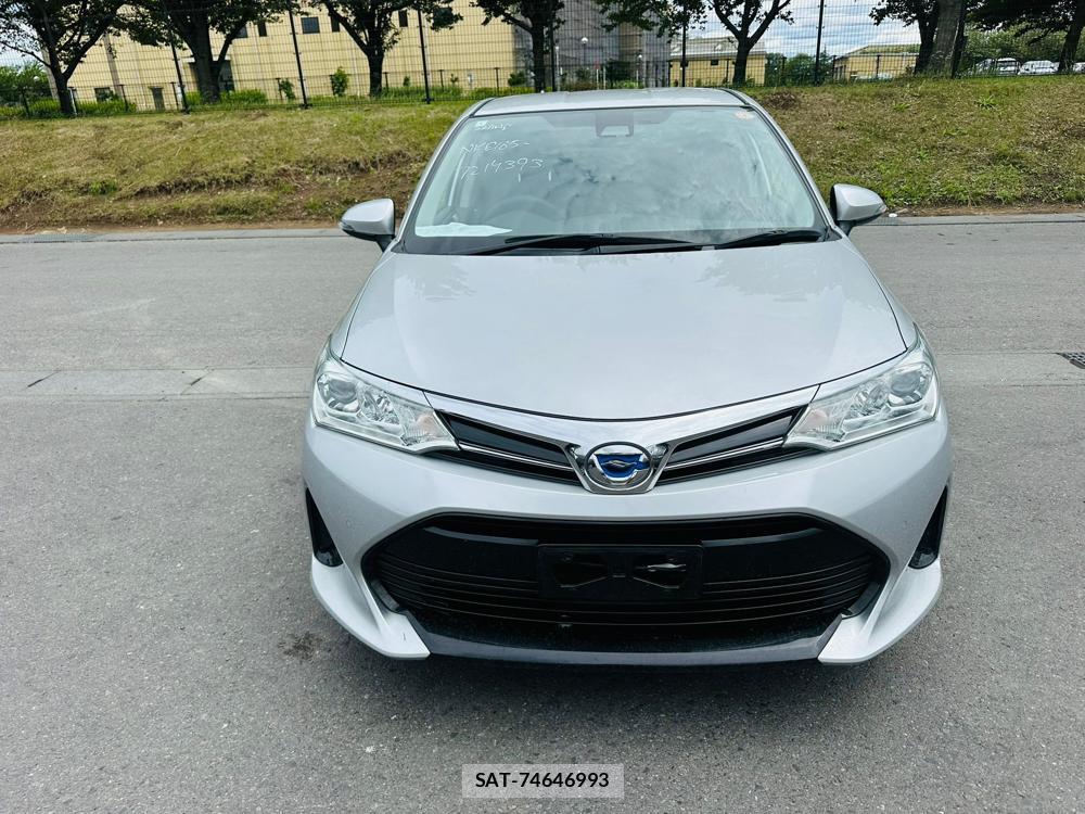Toyota COROLLA FIELDER 2019 7072724-7