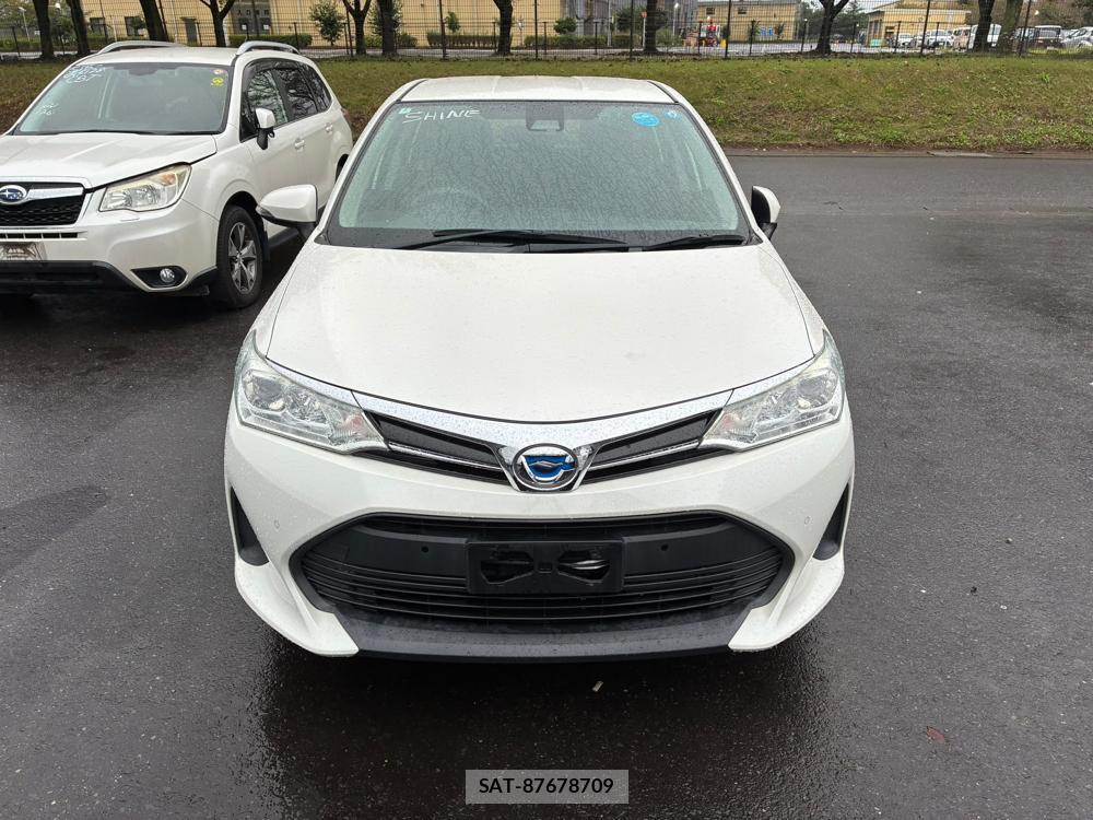 Toyota COROLLA FIELDER 2019/07 8767005-7