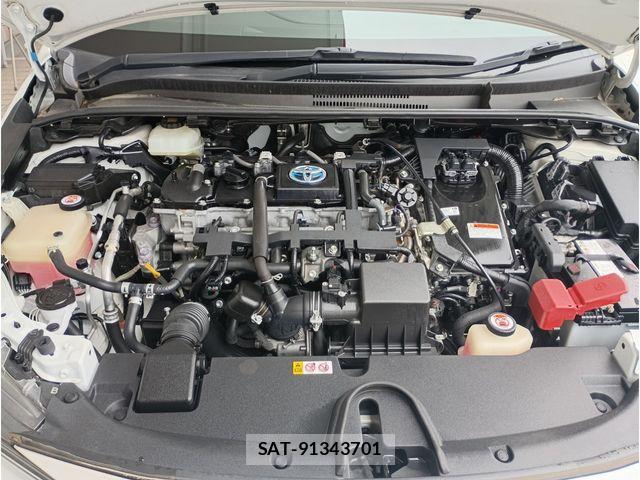 Toyota COROLLA SPORT 2018-09 7216423-19