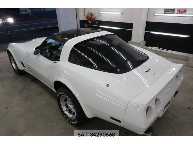 Chevrolet CORVETTE 1989-03 8034984-13
