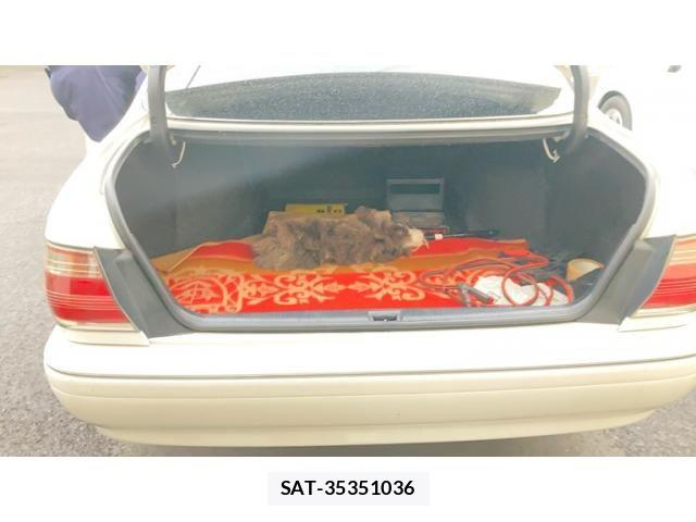 Toyota CROWN SEDAN 2001-01 4935878-19