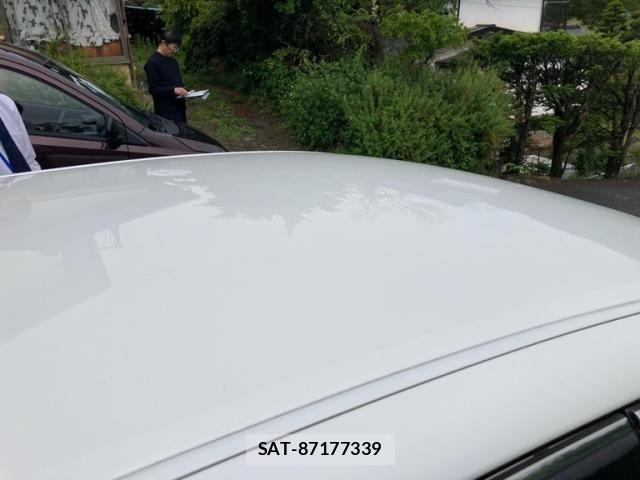 Toyota CROWN SEDAN 2010-06 7250261-16