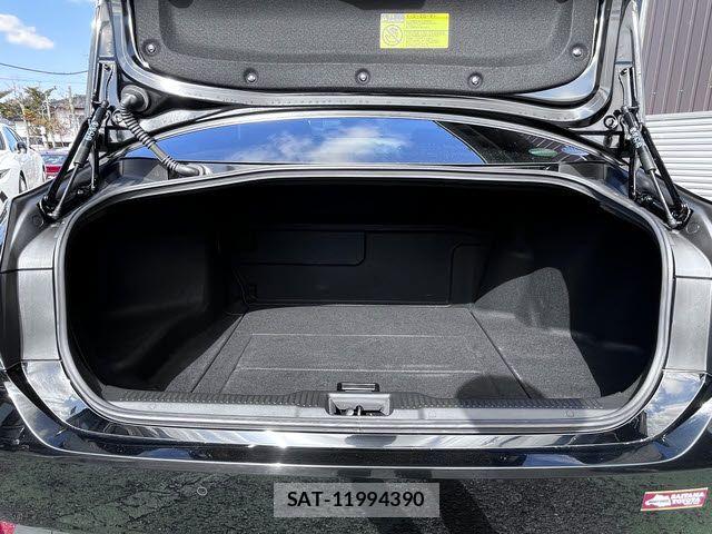 Toyota CROWN SEDAN 2019-02 5863862-20
