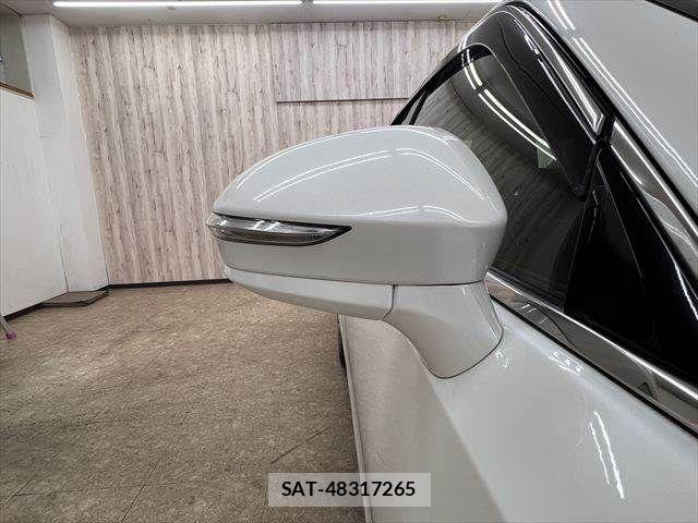 Toyota CROWN SEDAN 2017-05 7250285-24