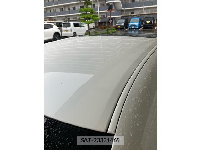 Toyota CROWN SEDAN 2008-06 7615866-8