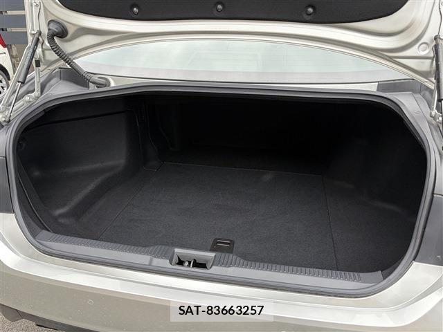 Toyota CROWN SEDAN 2018-11 8741396-19