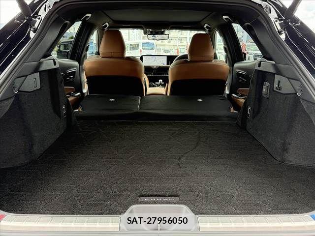 Toyota Crown Sports 2024-06 8365328-20