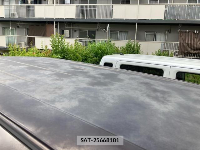 Nissan CUBE 2007-05 7615918-4