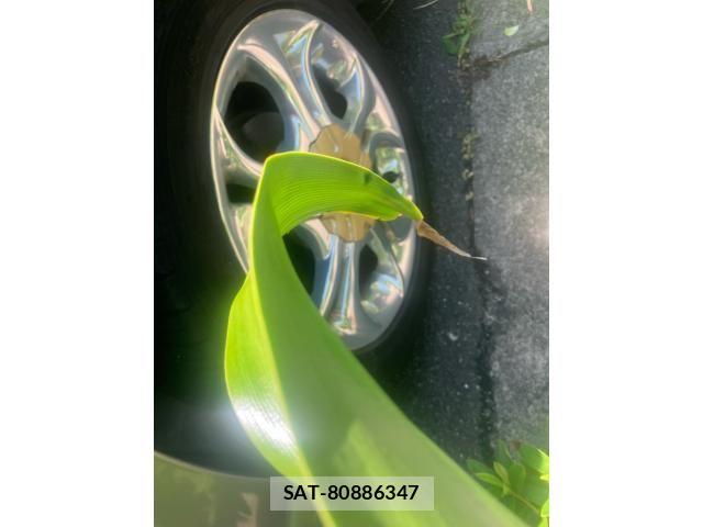 Nissan CUBE 1998-04 7615916-10