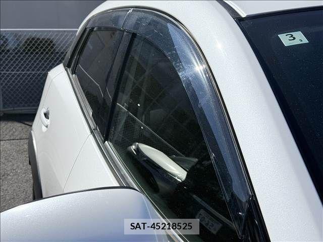 Mazda CX-3 2019-12 3064625-29
