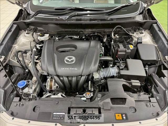 Mazda CX-3 2023-11 5864391-13