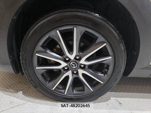 Mazda CX-3 2017-05 6303519-14