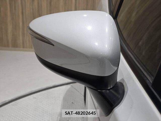 Mazda CX-3 2017-05 6303519-25