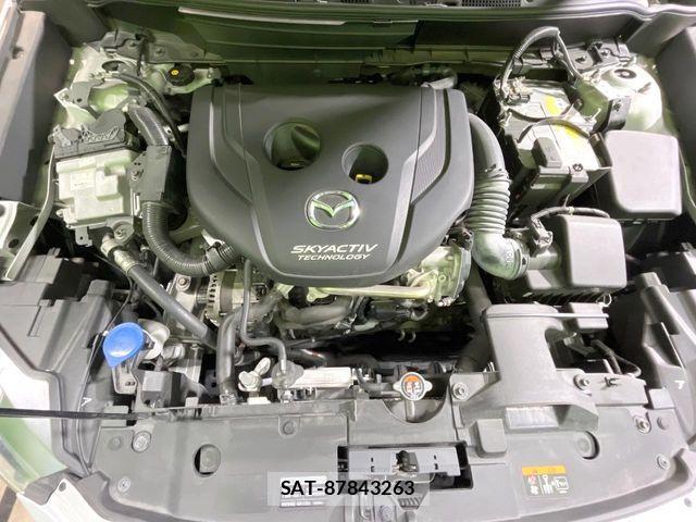 Mazda CX-3 2019-09 8035120-17