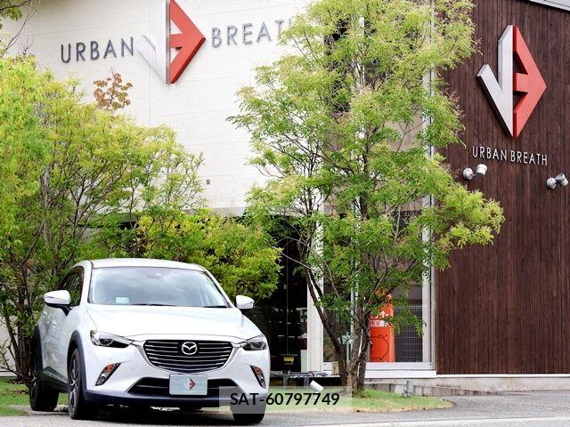 Mazda CX-3 2018-03 8073432-5