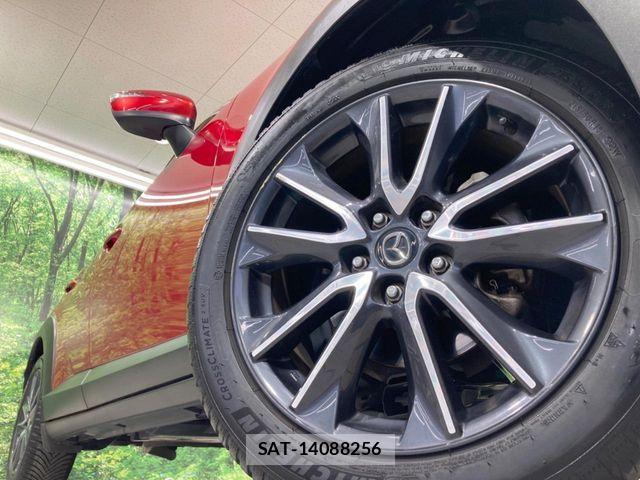 Mazda CX-3 2017-03 8207099-12