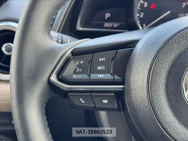 Mazda CX-3 2022-01 8244951-25