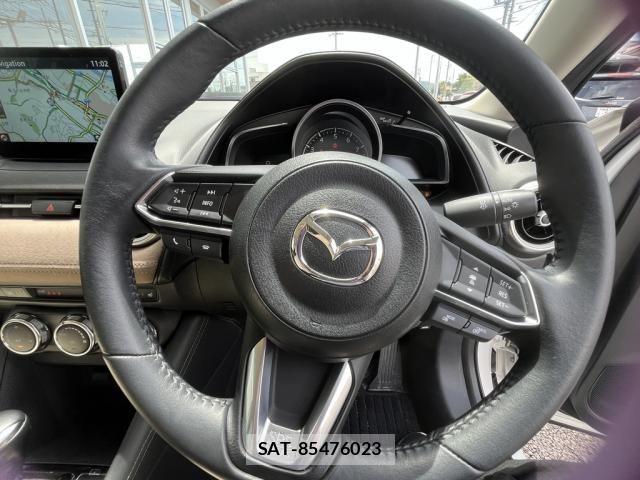 Mazda CX-3 2022-01 8313999-25