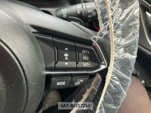 Mazda CX-3 2017-10 8335428-16