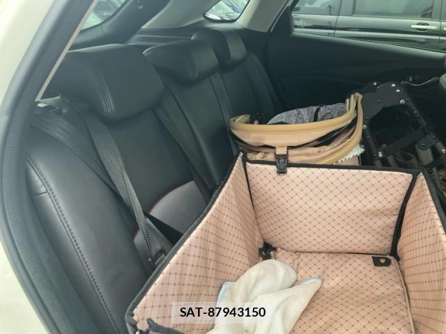 Mazda CX-3 2017-10 8524204-14