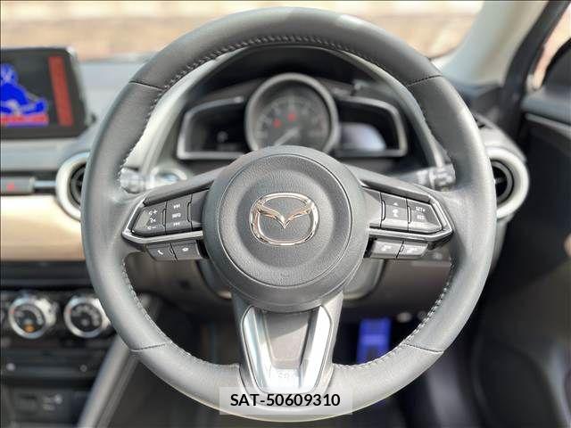 Mazda CX-3 2021-03 8561596-13