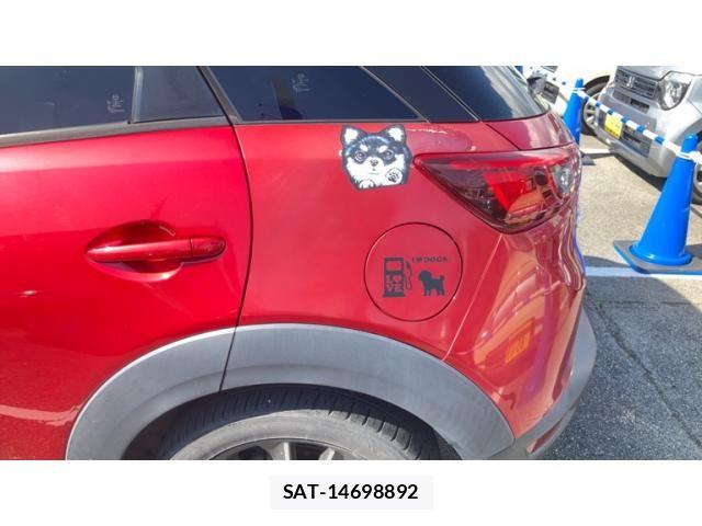Mazda CX-3 2016-01 8685374-16