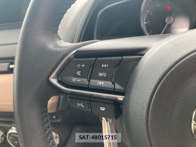 Mazda CX-3 2024-10 8779916-12