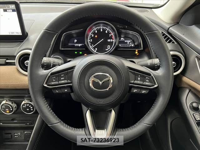 Mazda CX-3 2023-12 8779915-24