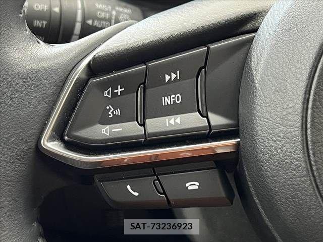 Mazda CX-3 2023-12 8779915-26