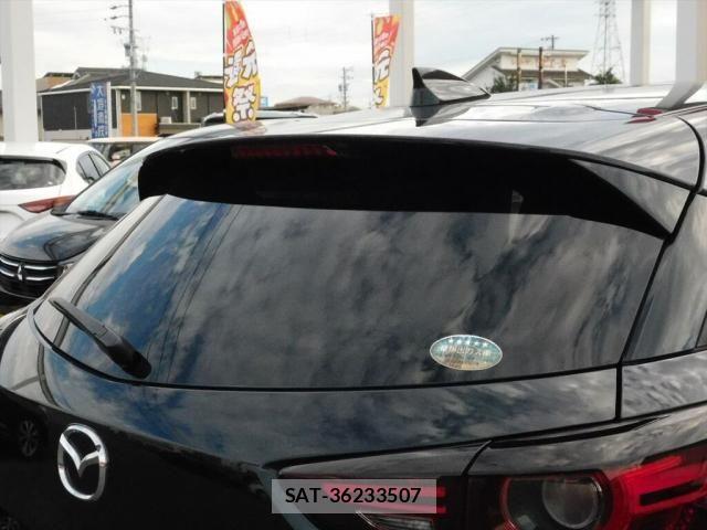 Mazda CX-3 2019-04 8828478-20