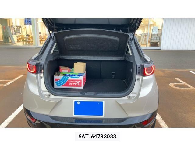 Mazda CX-3 2022-03 8879312-8