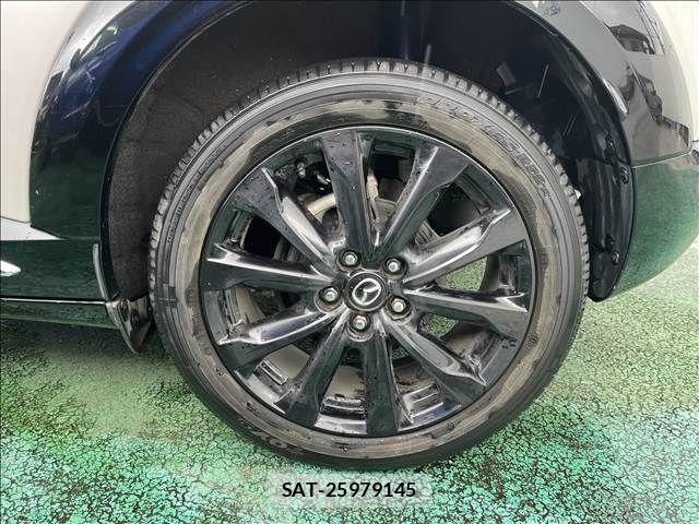 Mazda CX-3 2023-02 8879310-10