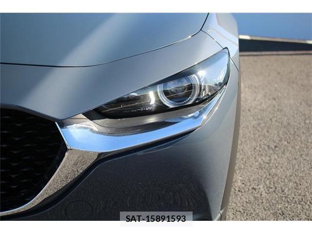 Mazda CX-30 2019-11 768109-11