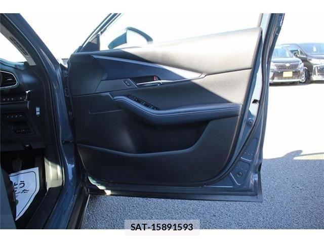 Mazda CX-30 2019-11 768109-13