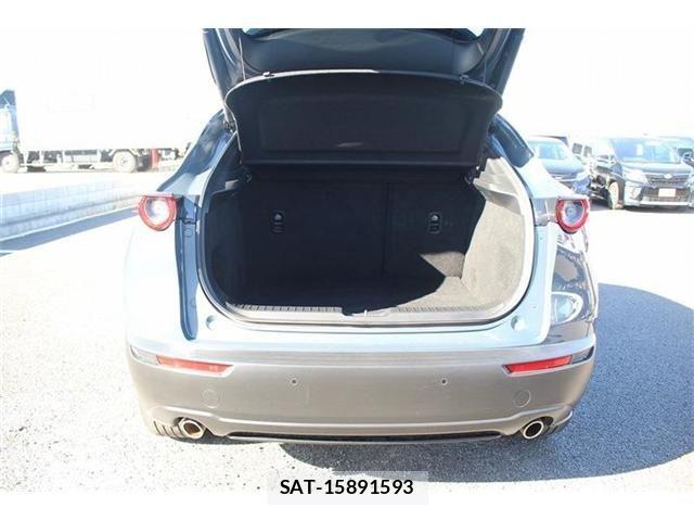 Mazda CX-30 2019-11 768109-17