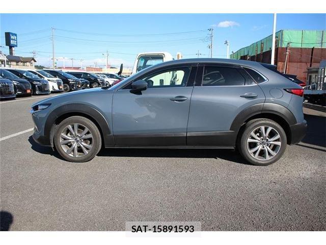 Mazda CX-30 2019-11 768109-8