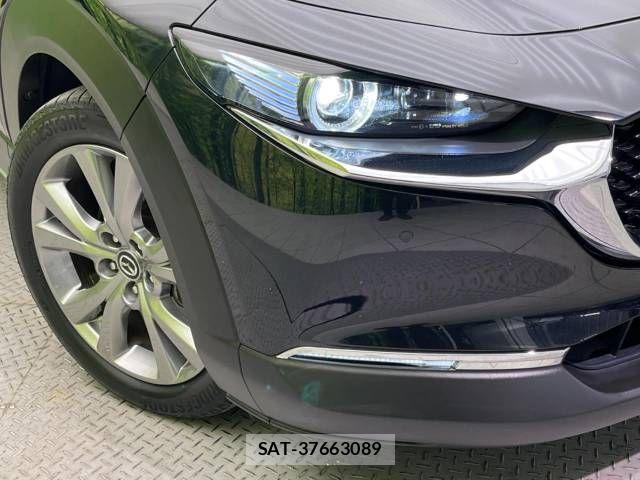Mazda CX-30 2020-09 801775-12