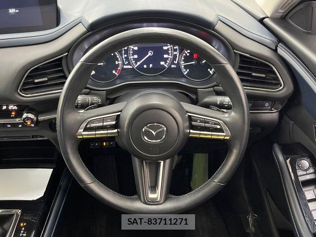 Mazda CX-30 2020-07 1235540-10