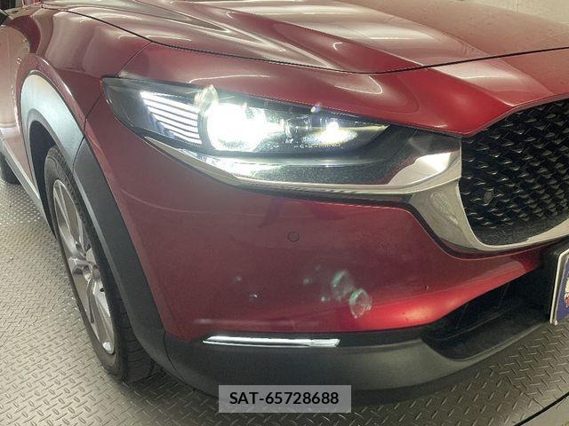 Mazda CX-30 2021-02 1299146-13