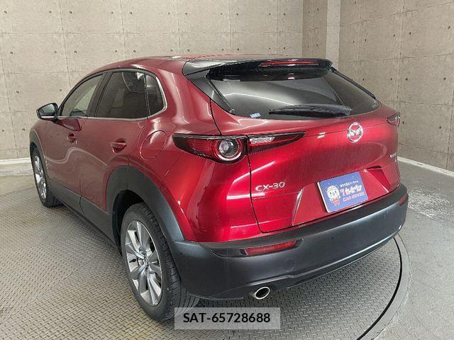 Mazda CX-30 2021-02 1299146-2